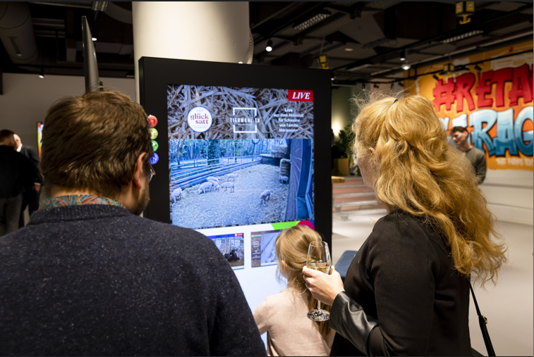 Drei Personen stehen vor einer digitalen Stele und betrachten den Screen, der via Livestream einen Einblick in einen Schweinestall zeigt.